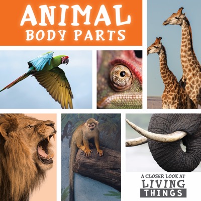 Animal Body Parts | Greenhaven Publishing